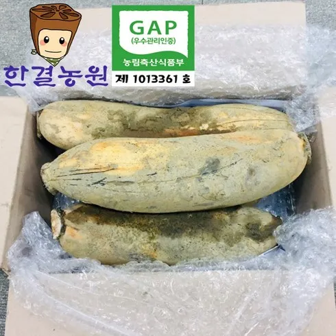 리뷰 많은 하니근조 가성비 아이템